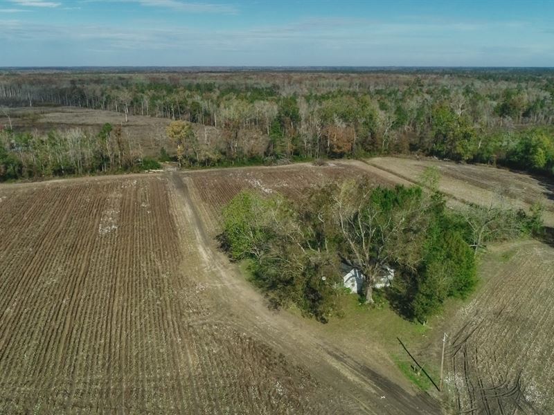 Pee Dee River Tract Ranch for Sale in Garden City, Horry County