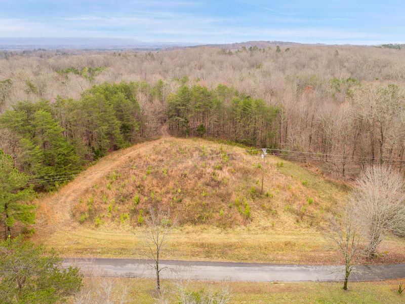 32+ Acres in McMinn County : Riceville : McMinn County : Tennessee