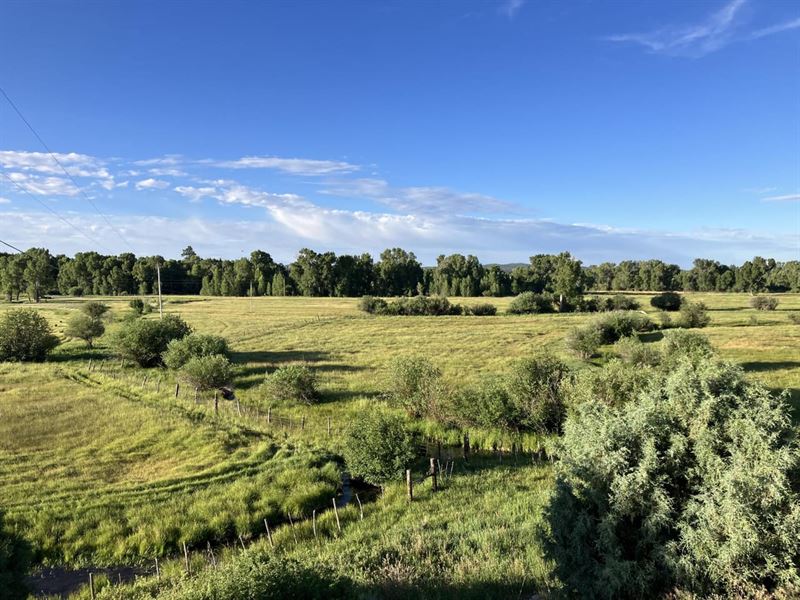 Brazos 23 Farm : Los Ojos : Rio Arriba County : New Mexico