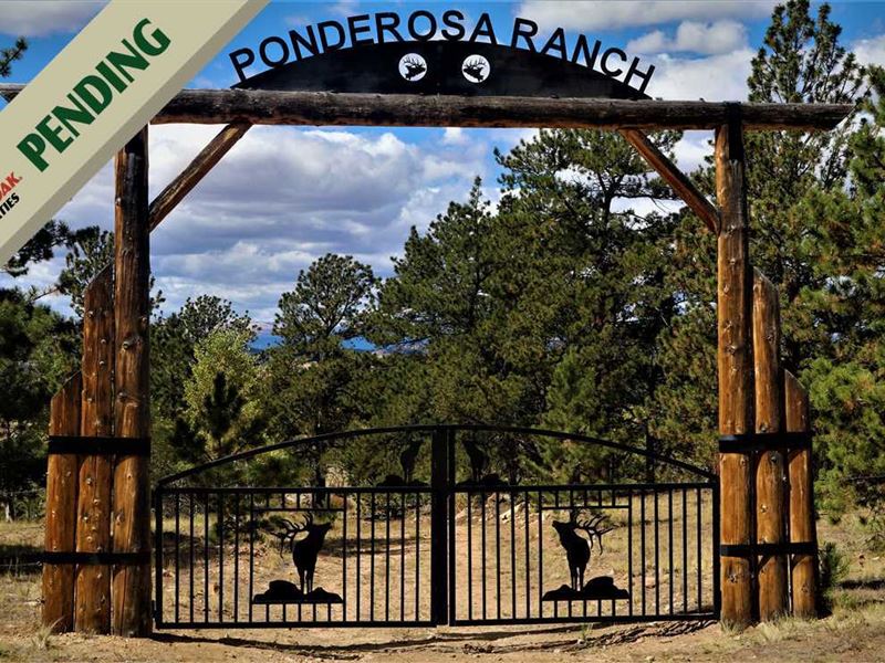 Ponderosa Ranch : Hartsel : Park County : Colorado