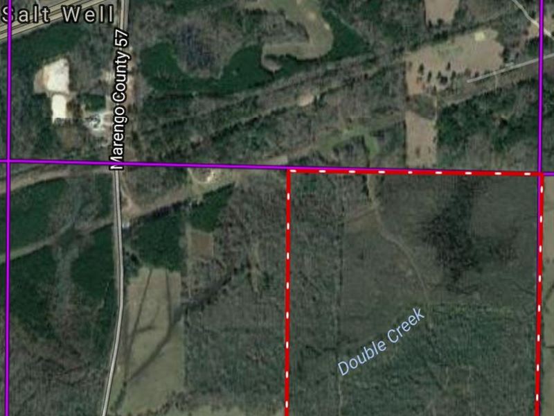 Hunting-Timber Tract : Demopolis : Marengo County : Alabama