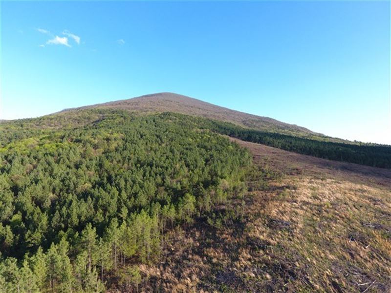 170 Acre Timber Investment Hunting : Poteau : Le Flore County : Oklahoma