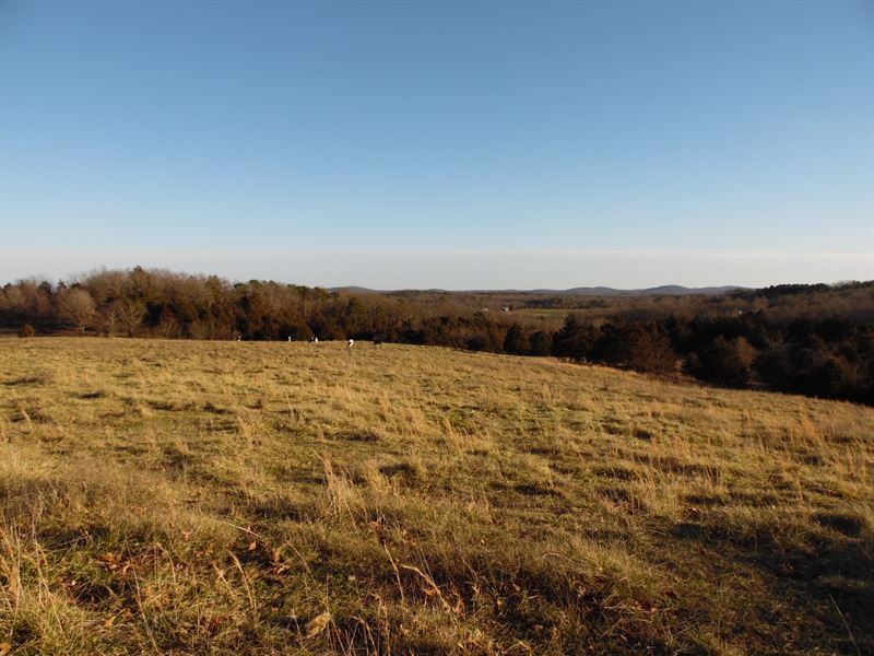Farm for Sale in Southern Mo : Mountain Grove : Douglas County : Missouri