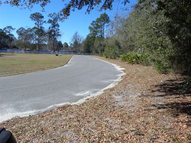 Acreage in City Limits with Country : Jesup : Wayne County : Georgia