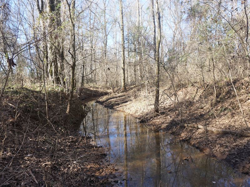 Cedar Creek Tract : Monticello : Jasper County : Georgia