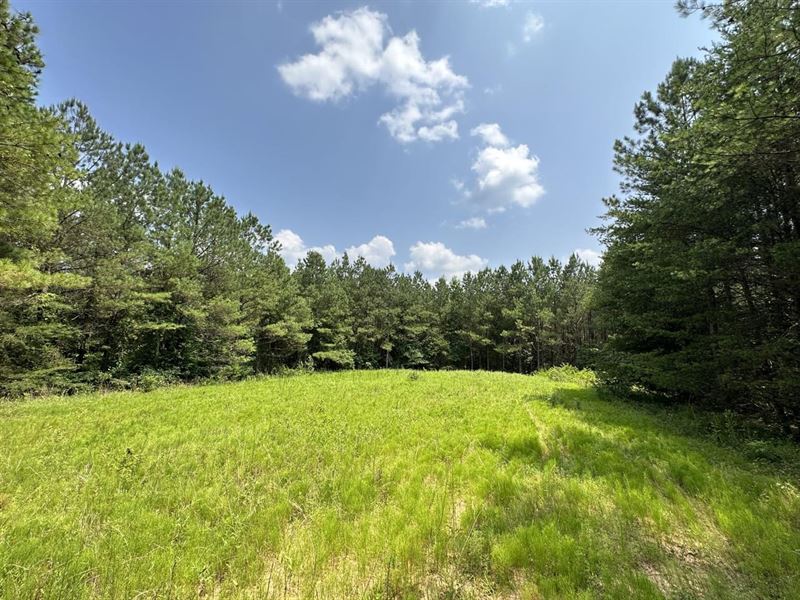 Marion County Hunting Retreat : Haleyville : Marion County : Alabama