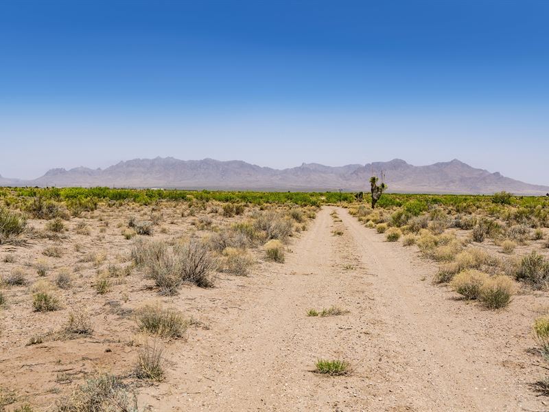 Ranch with Rd Frontage & Mountains : Deming : Luna County : New Mexico