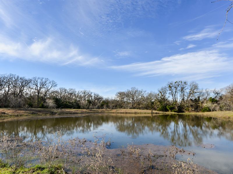 McLennan County Ranch : Lacy-Lakeview : McLennan County : Texas