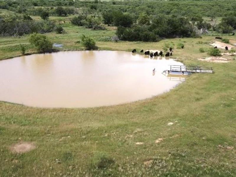 85 Acres Hunting/Recreation in Youn : Olney : Young County : Texas