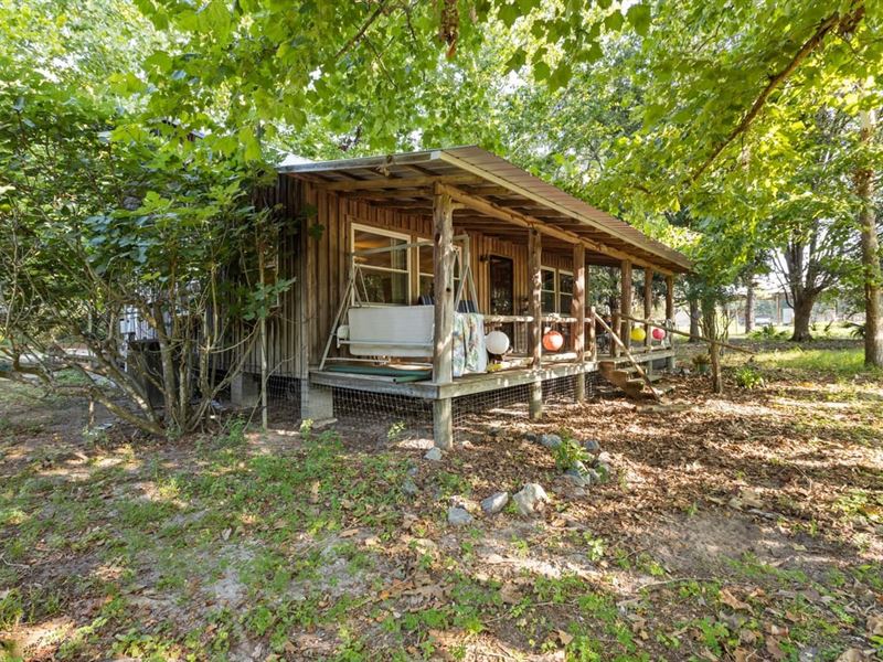 Serenity Acres Farm : Pinetta : Madison County : Florida