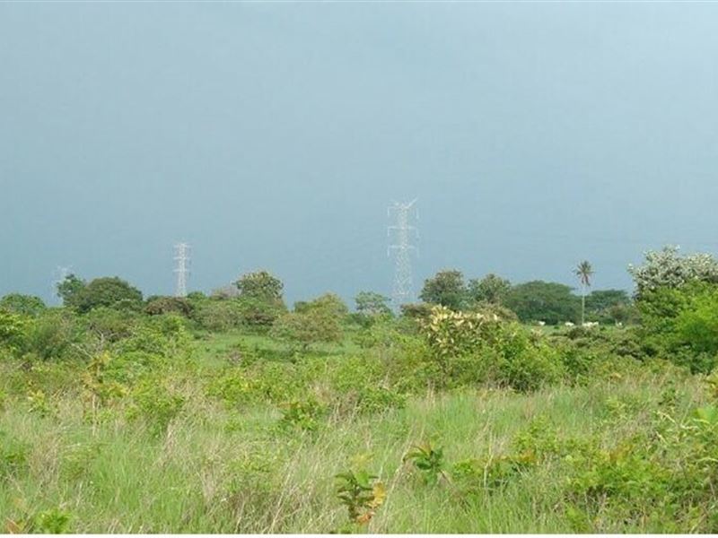 Juan Diaz OF Anton Land in Panama : Juan Díaz : Panama
