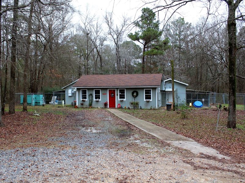 Boarding Kennel & Home Mooringsport : Mooringsport : Caddo Parish : Louisiana