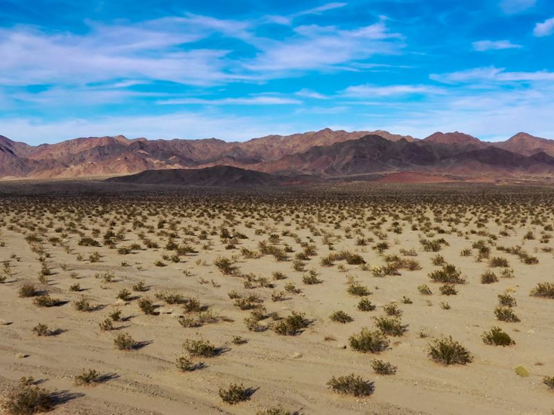 Vegas Pitstop : Amboy : San Bernardino County : California