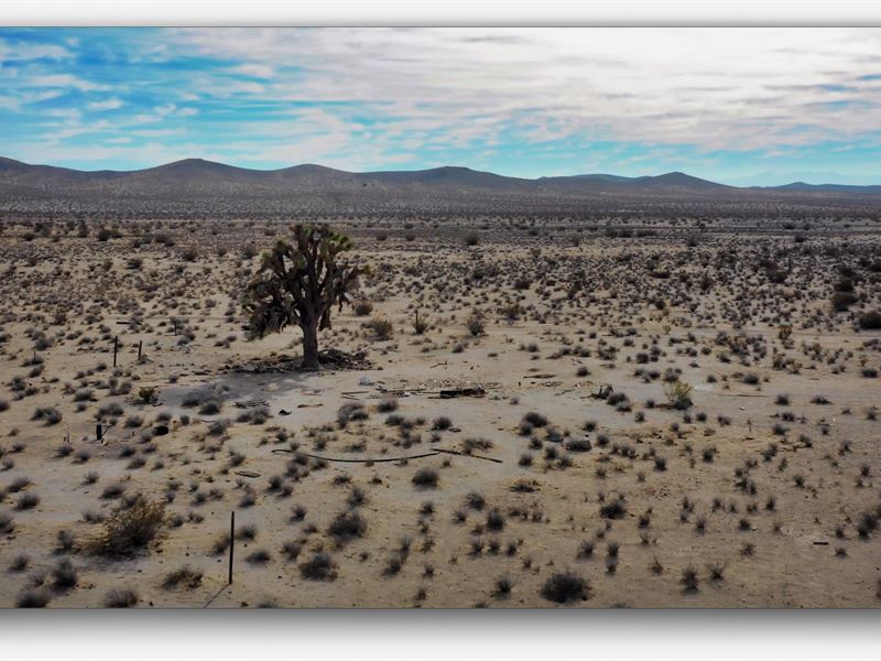 Barstow Dreams : Barstow : San Bernardino County : California