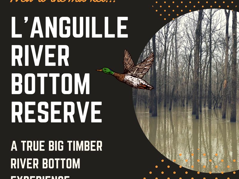 L' Anguille River Bottom Reserve : Haynes : Lee County : Arkansas