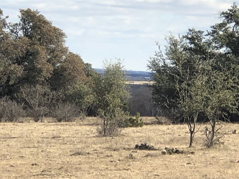 125+ Wooded & Hilly Acres : Stephenville : Erath County : Texas
