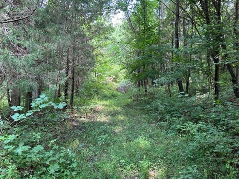 44.5 Acres Ripley County, Indiana : Milan : Ripley County : Indiana