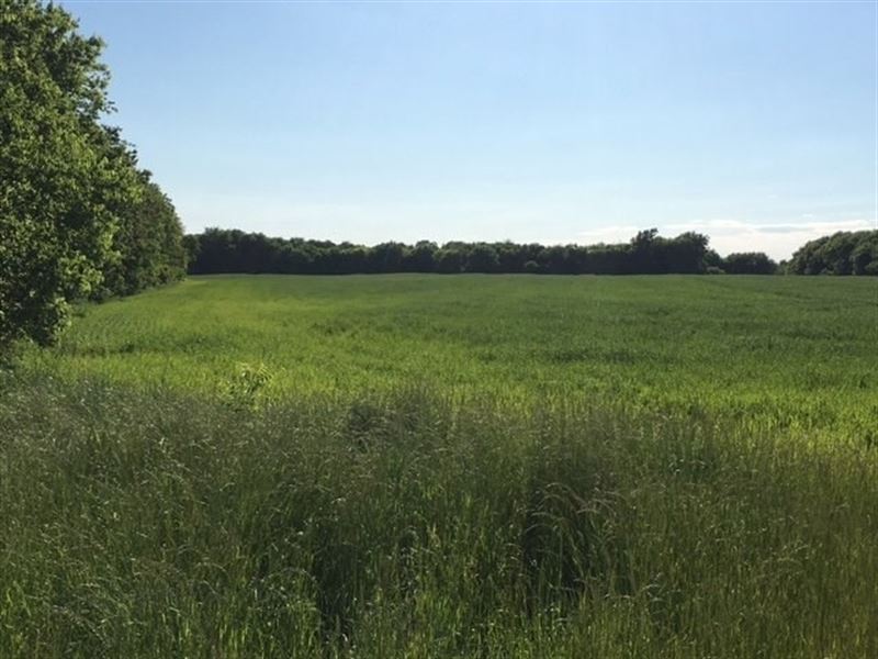 Development Investment Sherman : Sherman : Grayson County : Texas