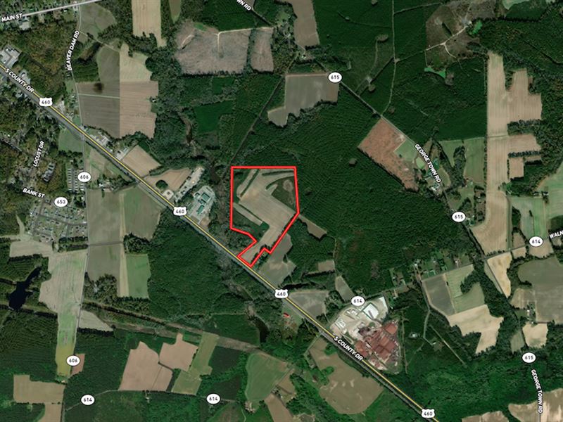62 Acres of Solar Farm Land for Sal : Waverly : Sussex County : Virginia