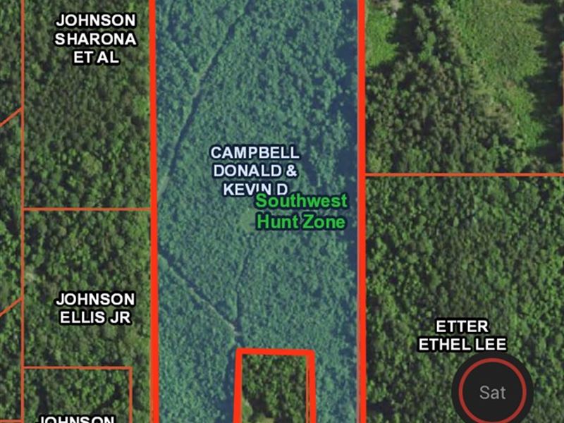 Land Homochitto National Forest : Union Church : Lincoln County : Mississippi