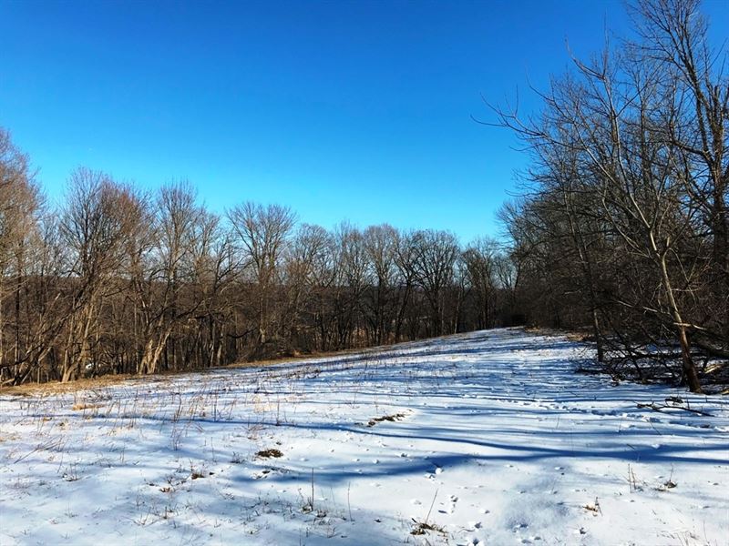 Buildable Hunting Parcel : Readstown : Vernon County : Wisconsin