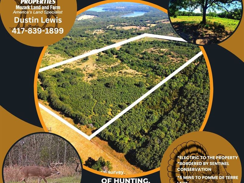80 Acres by Pomme DE Terre Lake : Bolivar : Polk County : Missouri