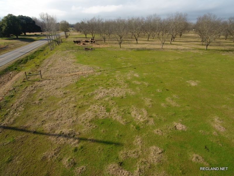 30 Ac, Pecan Farm & Pasture Fo : Jigger : Franklin Parish : Louisiana