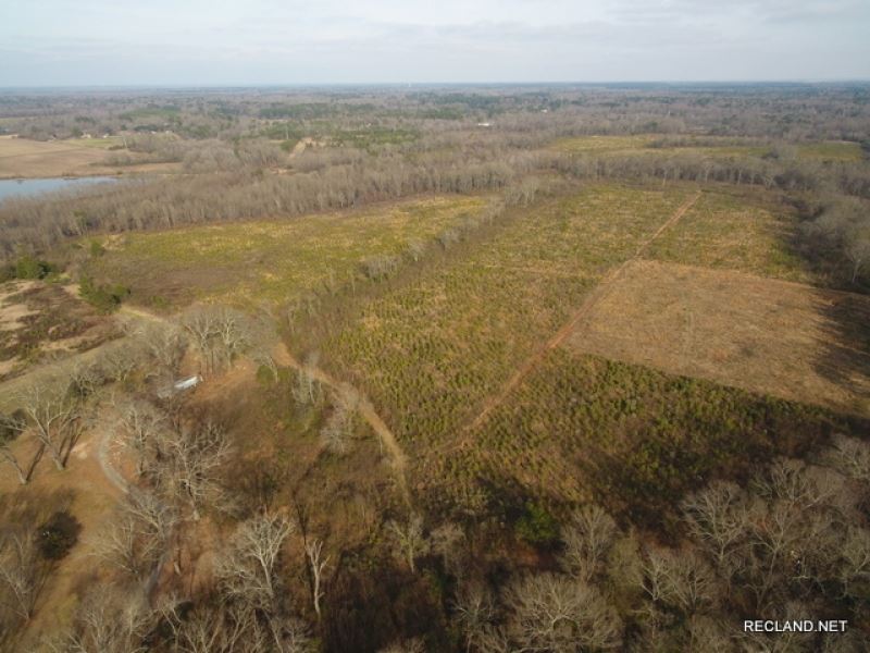 186 Ac, Timberland & Hunting : Bastrop : Morehouse Parish : Louisiana