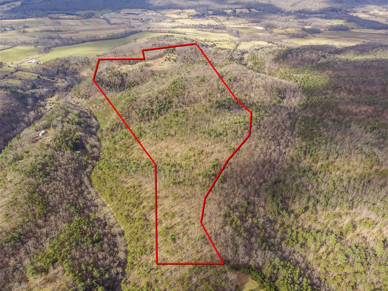 71 +/- Acres : Wardensville : Hardy County : West Virginia