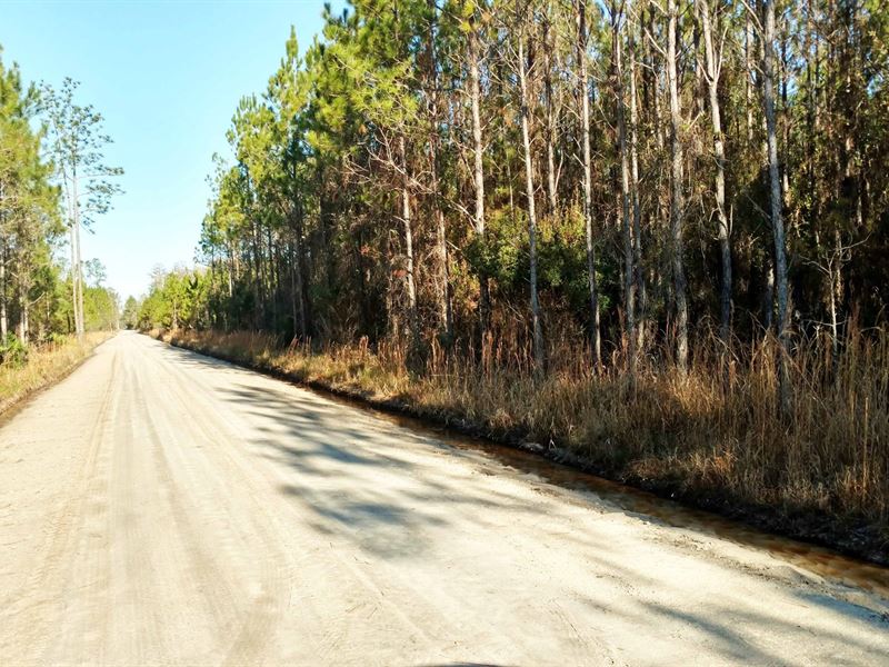 553 Beautiful Acres Lake City : Lake City : Columbia County : Florida
