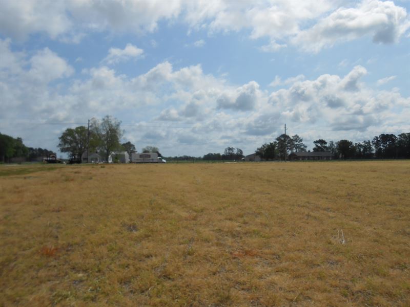 Farm for Sale Washington, NC : Washington : Beaufort County : North Carolina