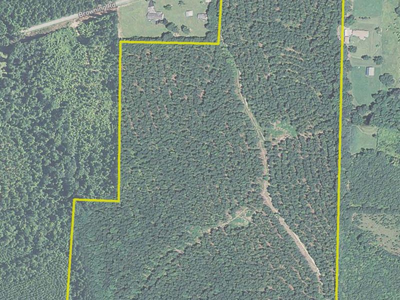 55+ Acres Pleasant Hill Road, 6044 : Rockmart : Polk County : Georgia