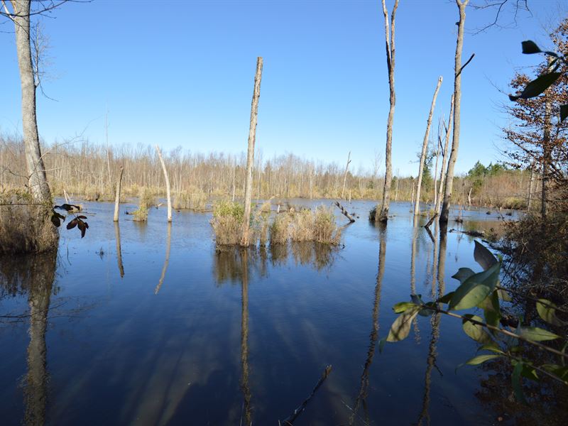 593 Ac Little Ohoopee River Tract, Ranch for Sale in 187254