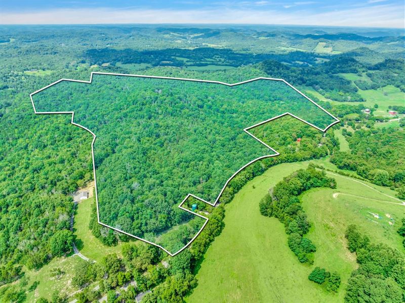 157.57 Acres of Excellent Hunting/R : Pleasant Shade : Smith County : Tennessee