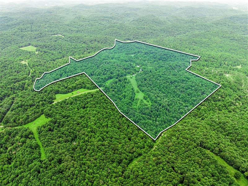 138.32 Surveyed Acres at The End : Bethpage : Macon County : Tennessee