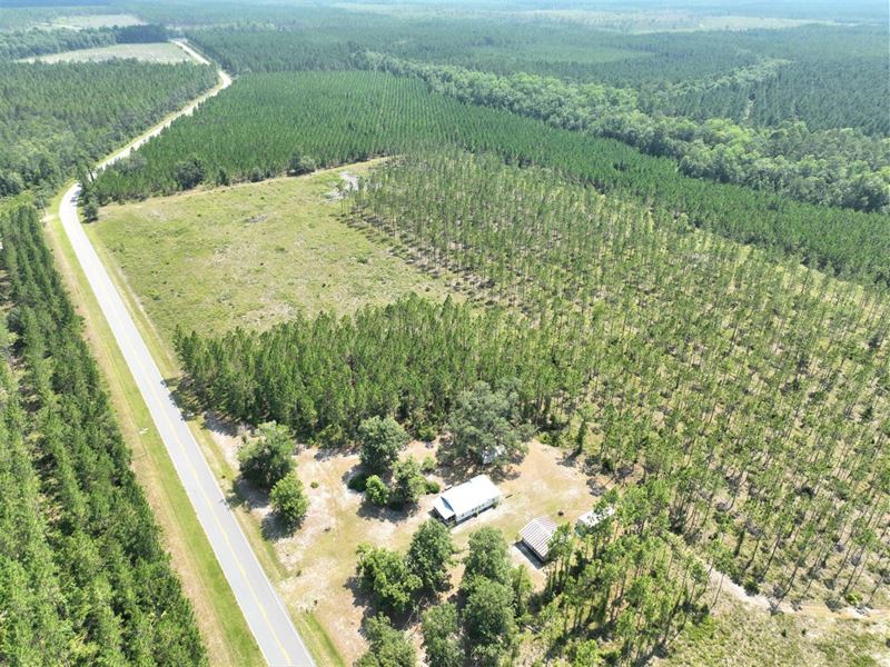 100 Ac Timberland with Home : Folkston : Charlton County : Georgia