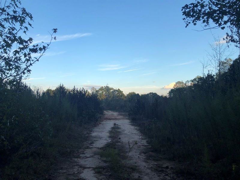 Little Shoal Creek : Hartwell : Hart County : Georgia