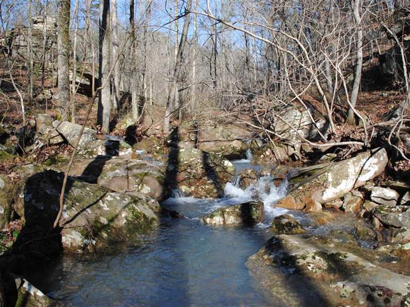 78.18 Acres of Great Hunting/T : Drasco : Cleburne County : Arkansas