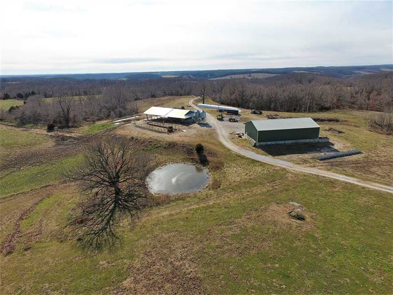 Dairy Farm with Home and 115 Acres : Crane : Stone County : Missouri