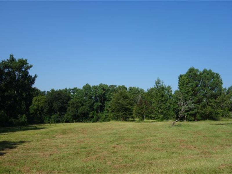 84.07 Acres, Richland County, Sc : Columbia : Richland County : South Carolina