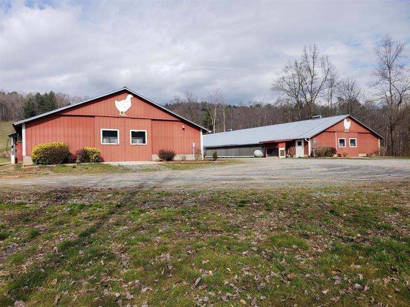 2 House Breeder Poultry Farm, Ranch for Sale in 187544