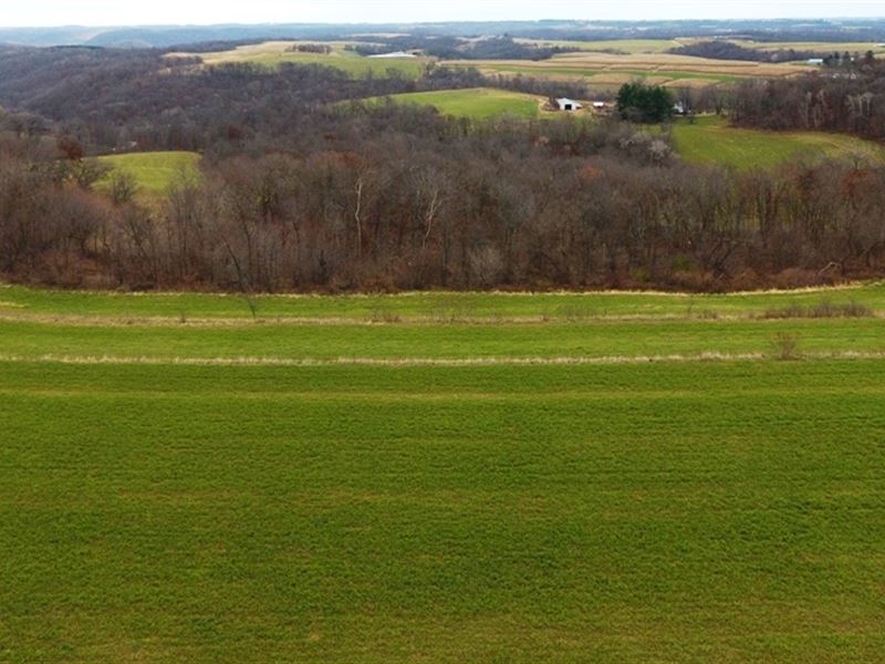 Vacant Parcel, Beautiful Views : Wauzeka : Crawford County : Wisconsin