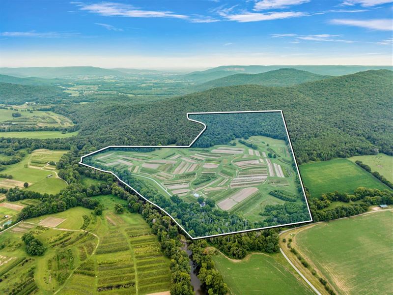 225 Acres in Grundy and Warren Coun : McMinnville : Grundy County : Tennessee