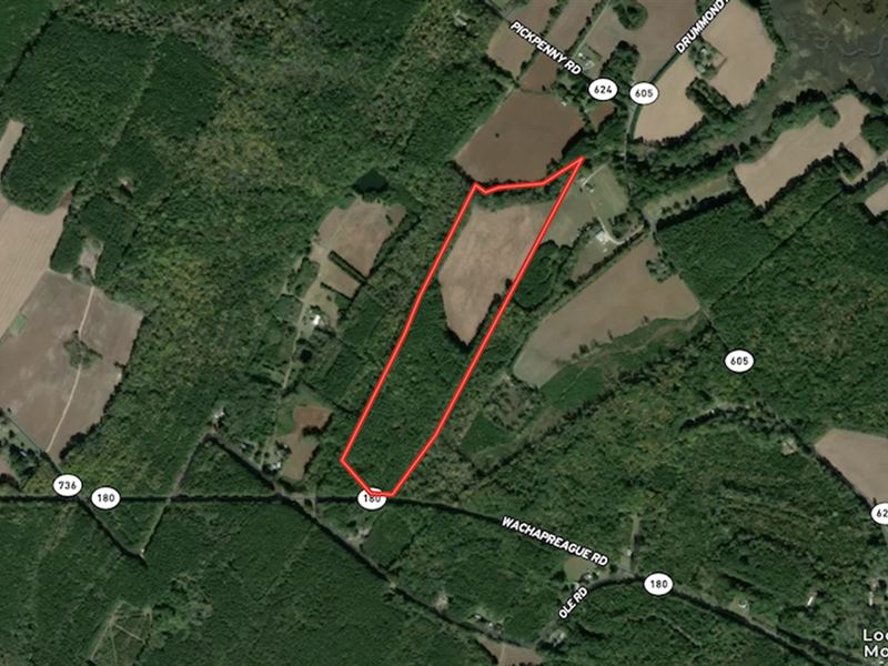 40 Acres of Farm : Wachapreague : Accomack County : Virginia