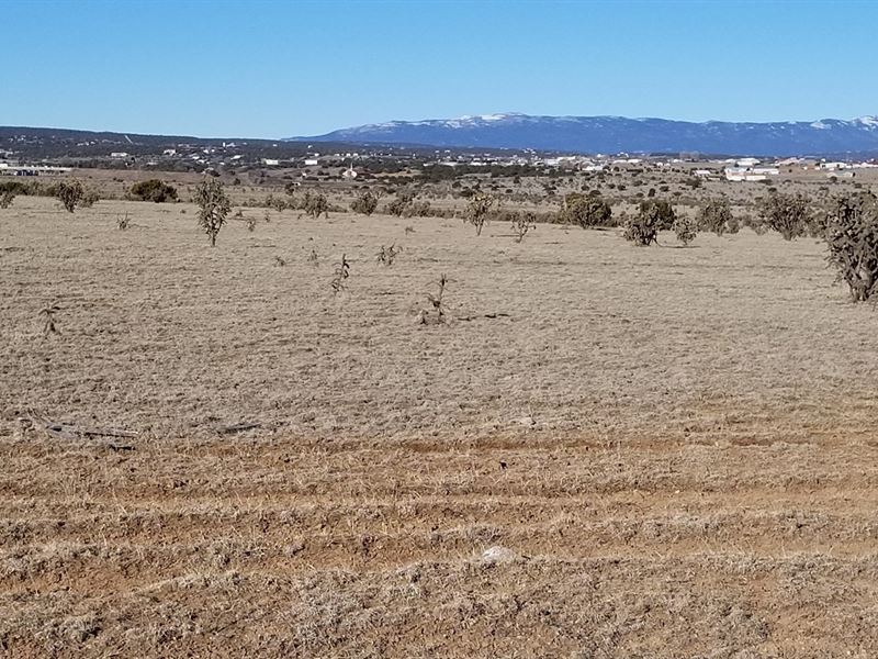 Edgewood NM Horse Property : Edgewood : Santa Fe County : New Mexico