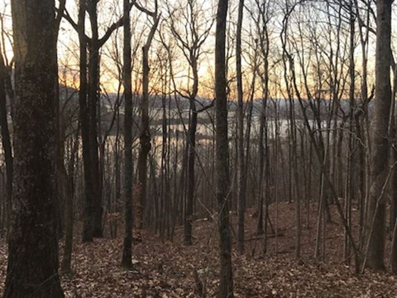 12+/- Acres Lakeview Property : Guild : Marion County : Tennessee