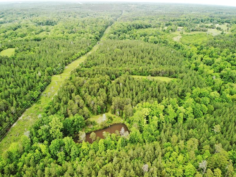 46.88 Acres Off Yarboroughs Mill : Milton : Caswell County : North Carolina