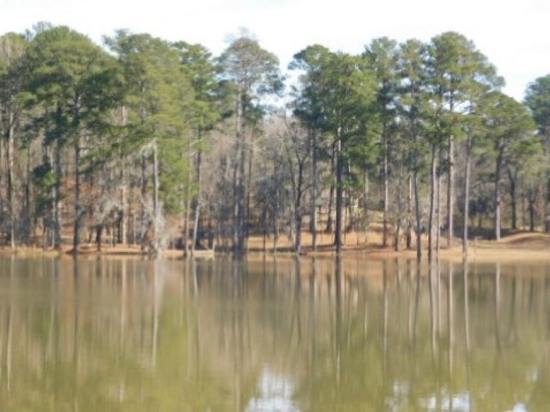 193 Acres in Hinds County in Clinto : Clinton : Hinds County : Mississippi