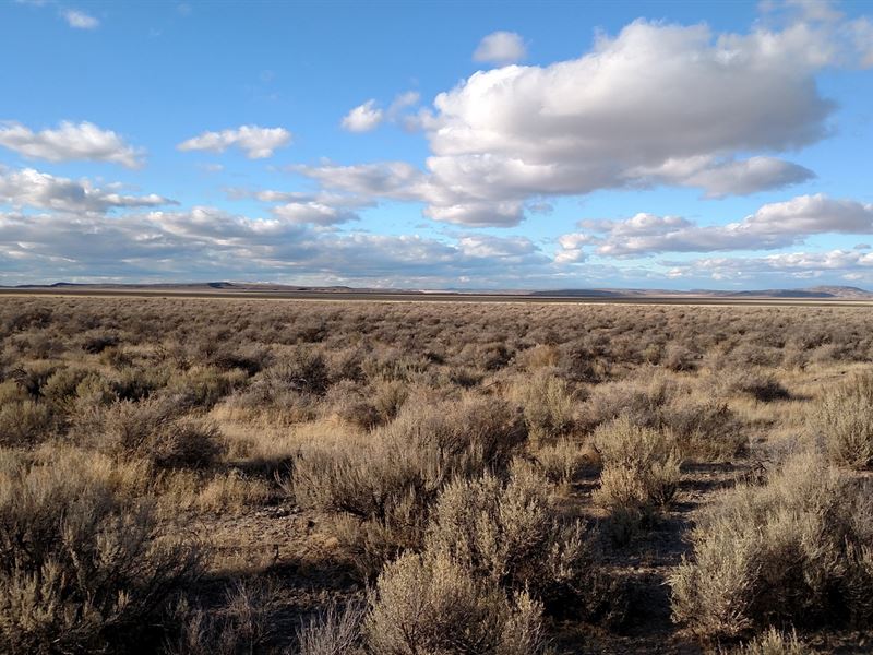 80 Acres, Recreational Property : Princeton : Harney County : Oregon