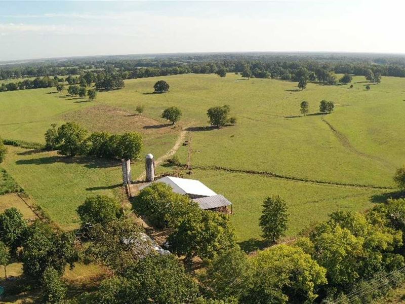 99 Acre Beautiful Rolling Pasture : Starkville : Oktibbeha County : Mississippi